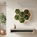 Mossphere™ Biophilic Hexa-Artisan Collective – The "Sierra" Series