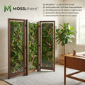 Mossphere™ Biophilic Artisan Screen – The "Arcadia" Collection